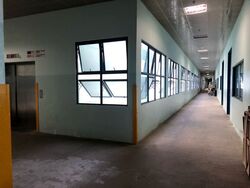 Loyang Industrial Estate (D17), Factory #330869131